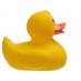 Bade-Ente ab geringen Mengen mit Logo